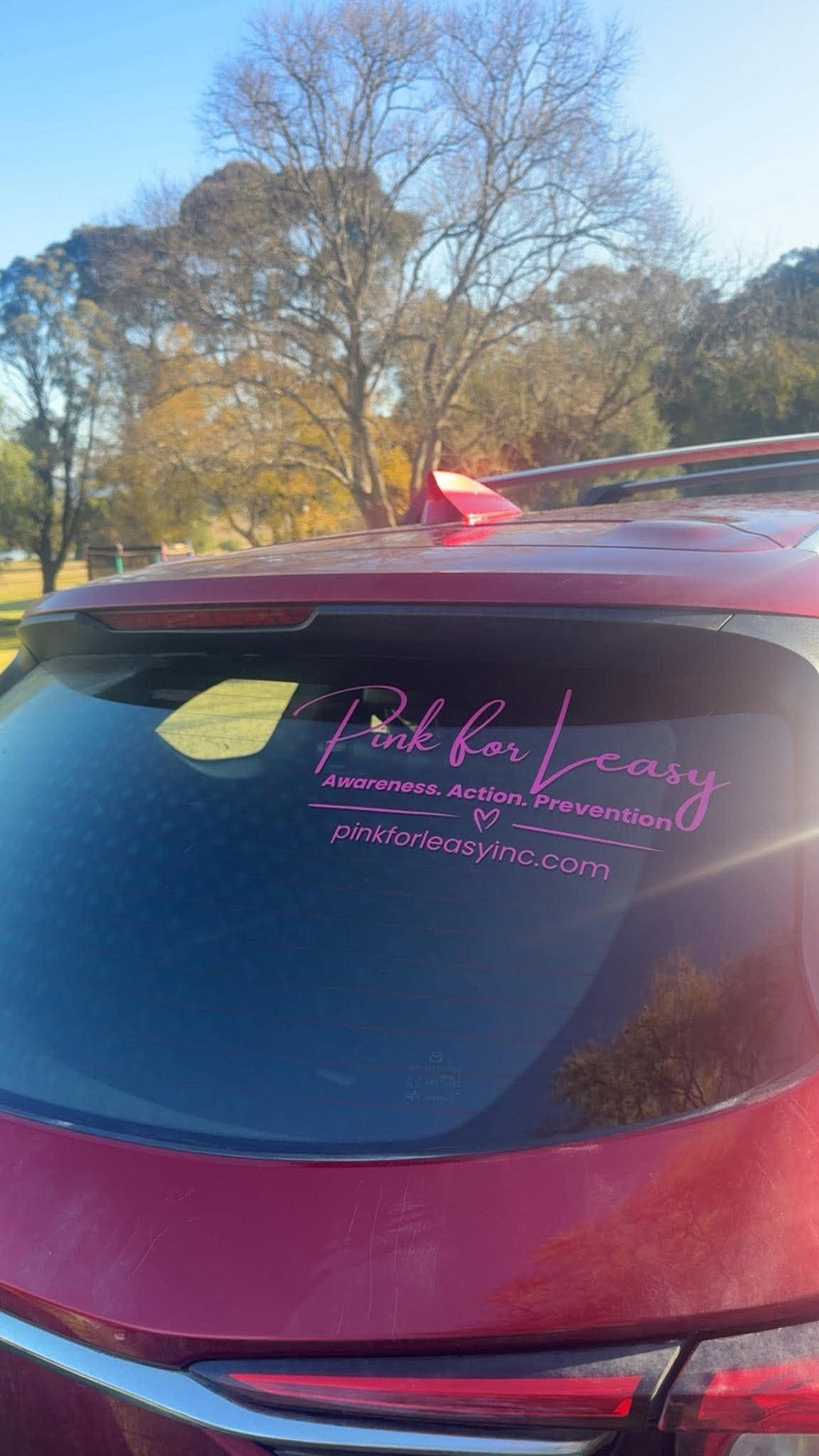 Pink for Leasy Car Window Decal
